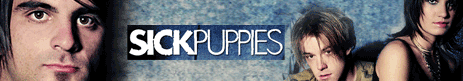 sick puppies