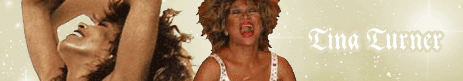 tina turner